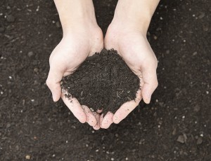 怎样从外观鉴别真假化肥？